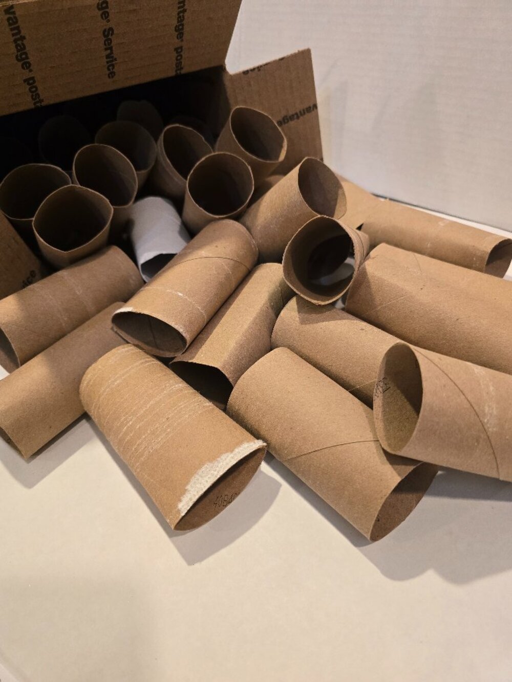 Craft Toilet Paper Cardboard Rolls Lot of 40 Wreaths Flowers School Projects 4"